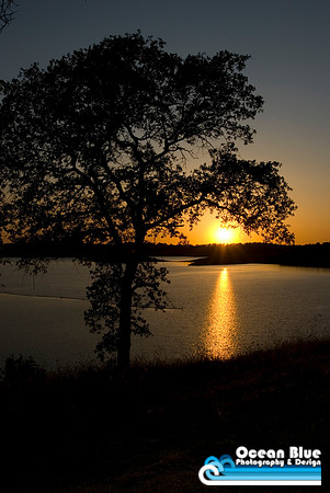 Setting Sun