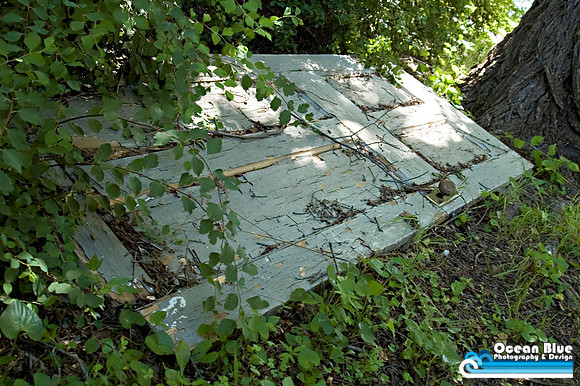 Forgotten Door