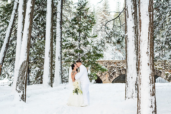 Yosemite Wedding Photographer