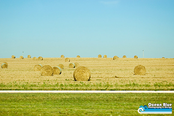 Oklahoma Hay Field