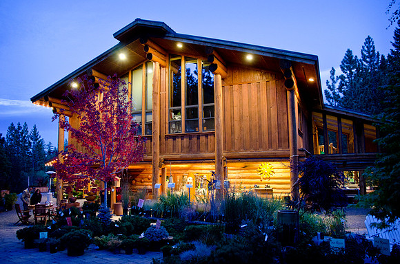 Tahoe City Wedding Photographers