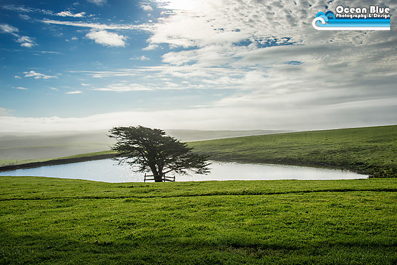Point Reyes National Seashore