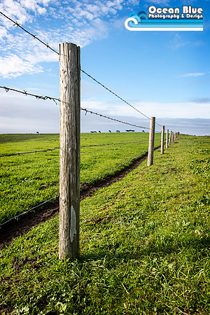 Point Reyes National Seashore