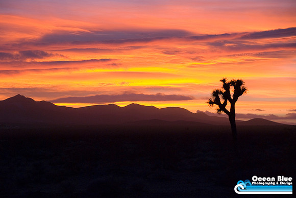 Palm Springs Sunset (horizontal)