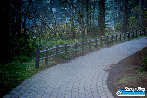 Oregon Path