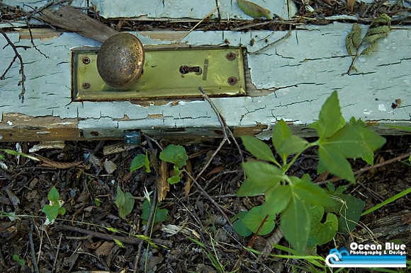 Door Knob