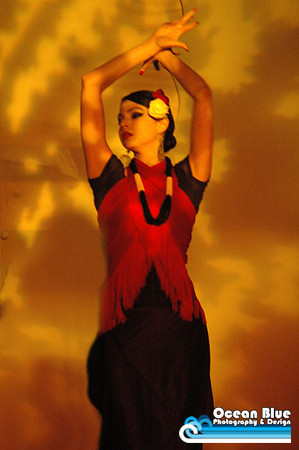 Flamenco Dance