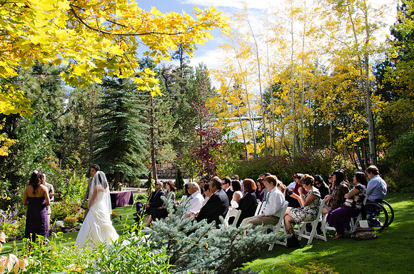Tahoe Tree Company Wedding Photographer