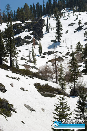 Snow Covered Mountain