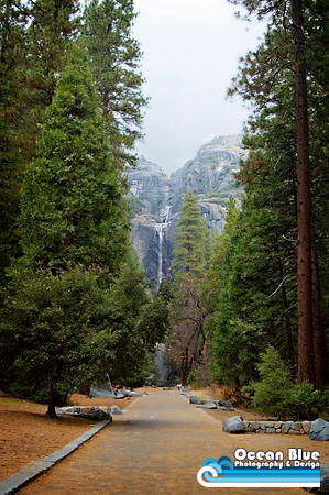 Yosemite Path