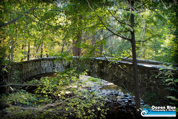 Yosemite Bridge