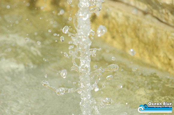 Sprouting Water