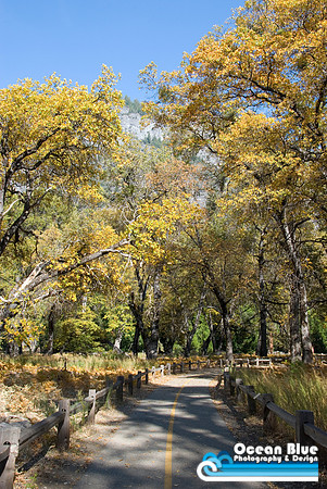 Yosemite Road