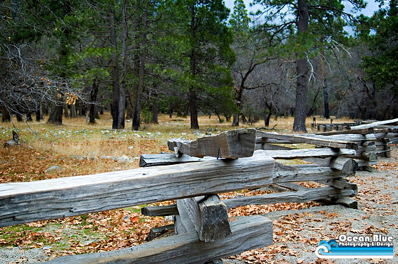 Yosemite Fence